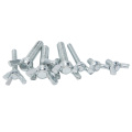 Low Price Top Quality Titanium Wing Head Screw for Mechanical Assembly